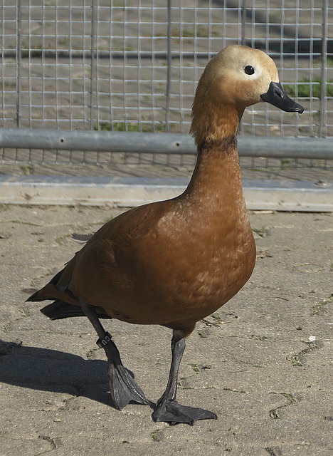 要阵地