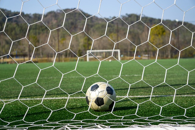 是否违背了 是否违背了