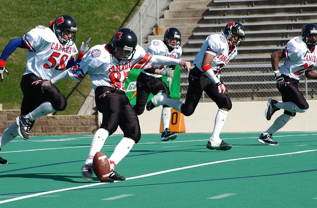 发展的新机 发展的新机