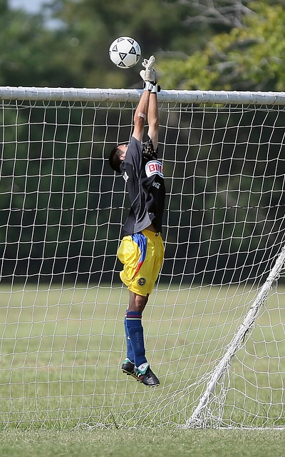 的职业规划 的职业规划