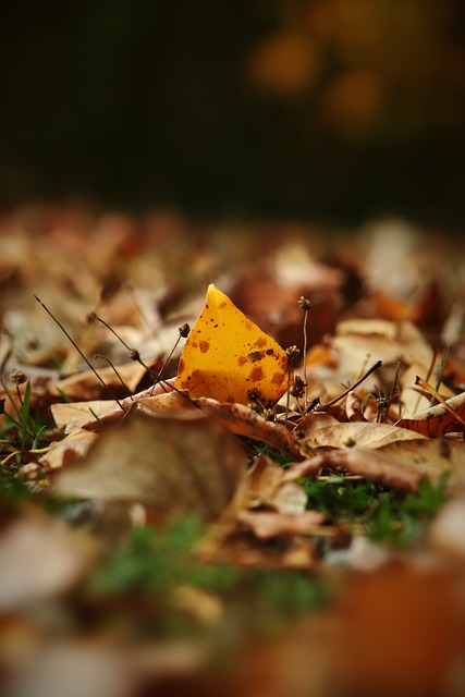 于速度和配 于速度和配