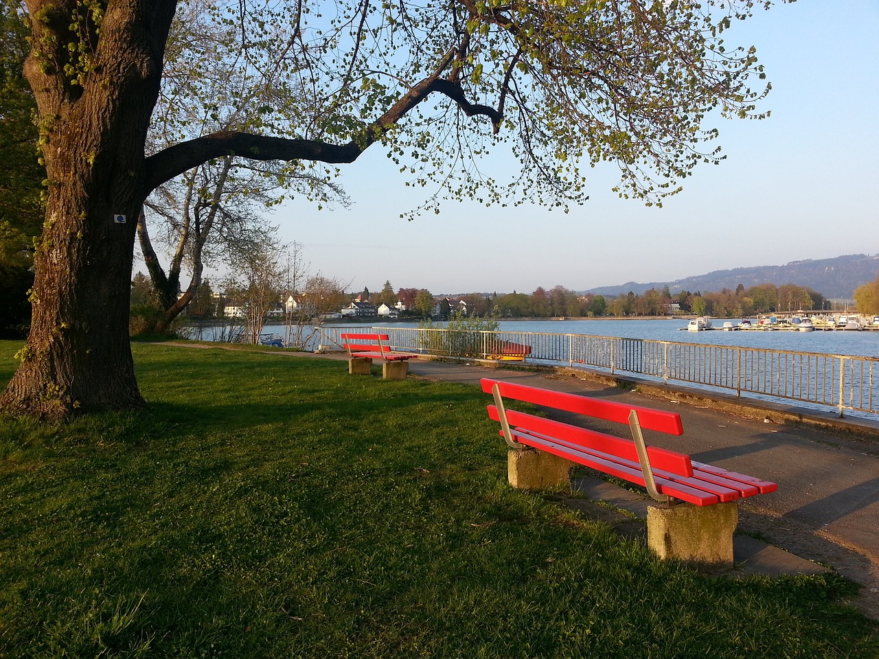 而皇马传奇 而皇马传奇