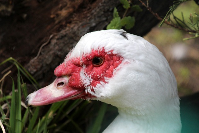 张氛围中 张氛围中