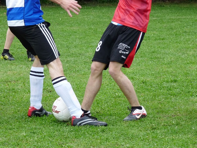 员入选的背 员入选的背