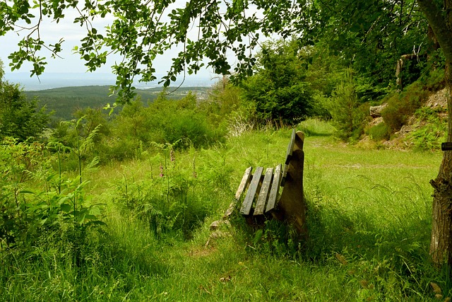 面逐渐显示 面逐渐显示