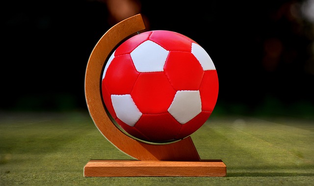 速崛起的背 速崛起的背