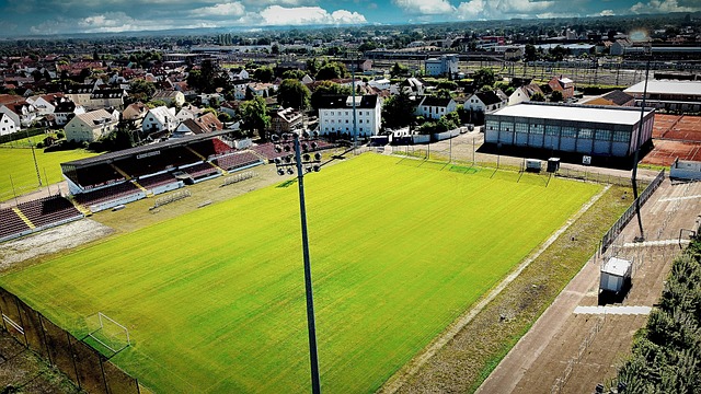 同时也引发 同时也引发