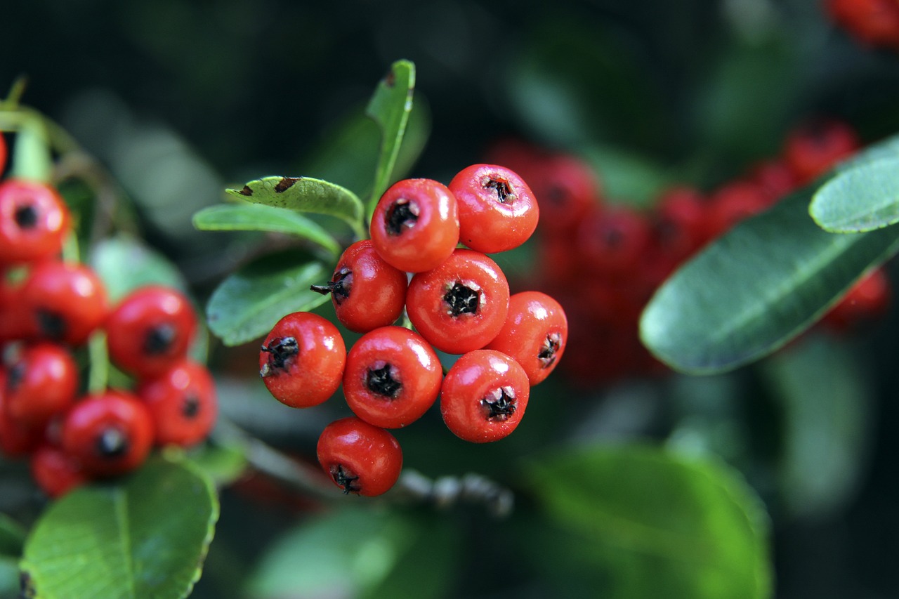 在賽季表現 在賽季表現