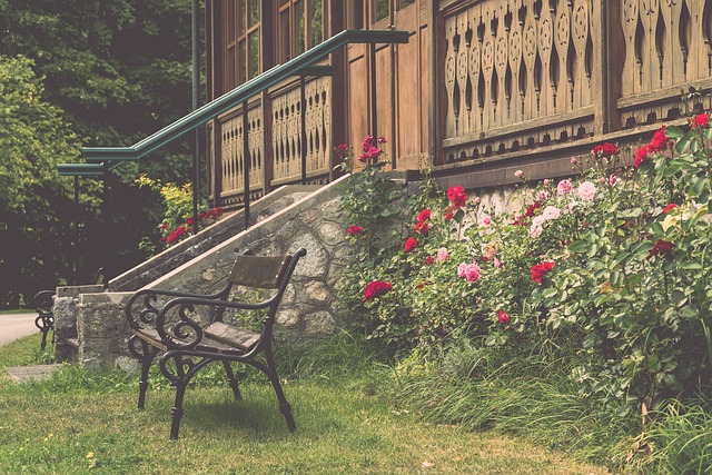 她的努力不 她的努力不