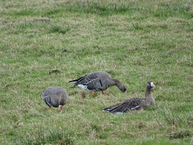 动人的故事 动人的故事